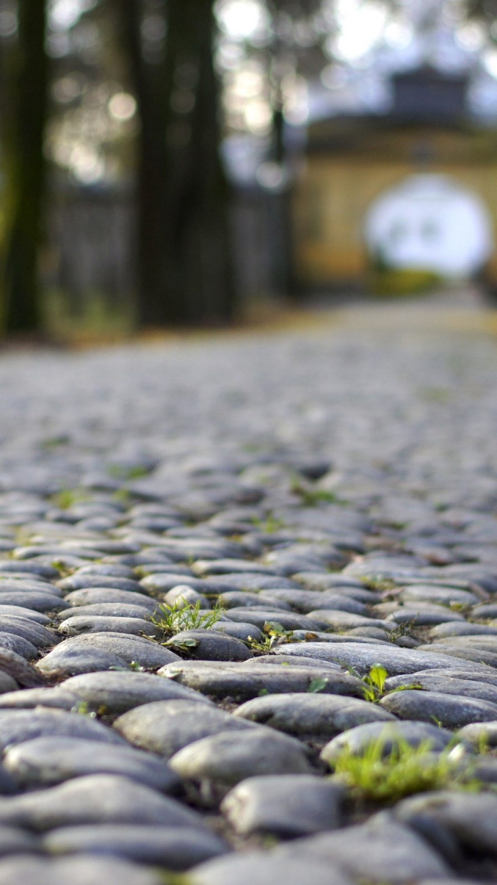 Wallpaper - HD Wallpaper 