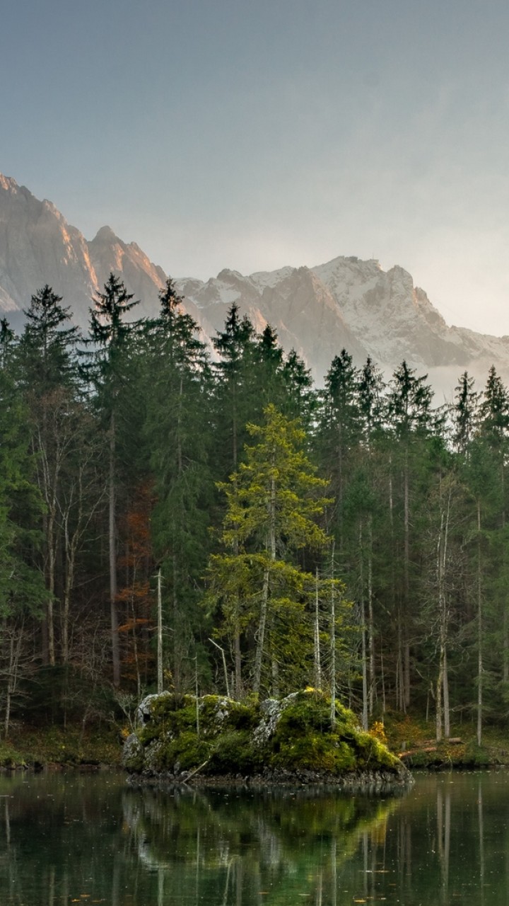 Forest Wallpaper For Ipad - HD Wallpaper 