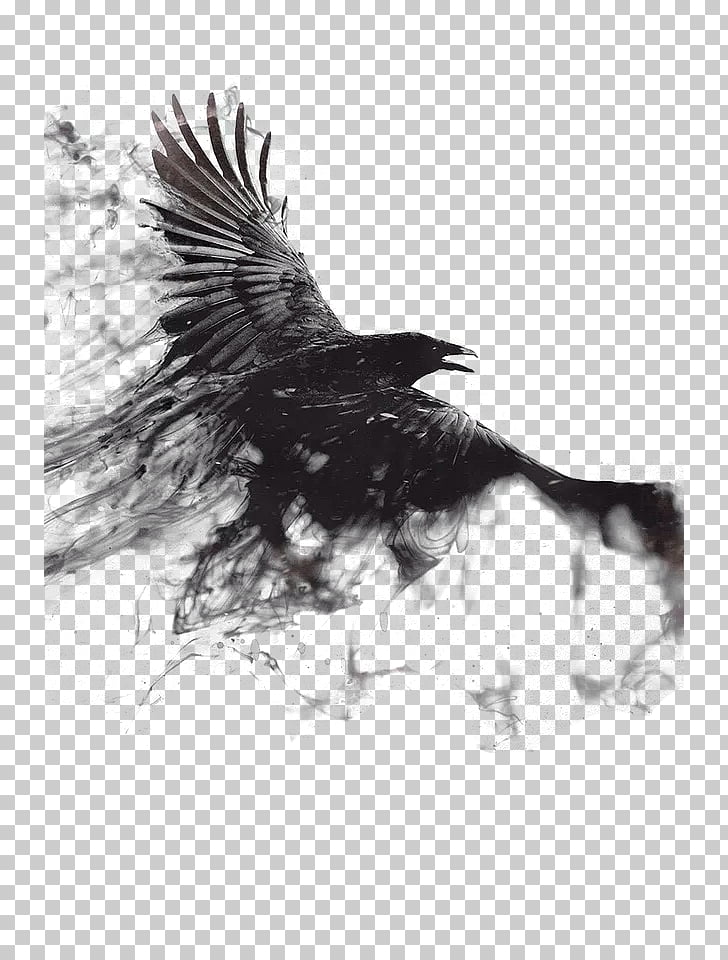 4k Resolution Wallpaper 4k Mobile - HD Wallpaper 