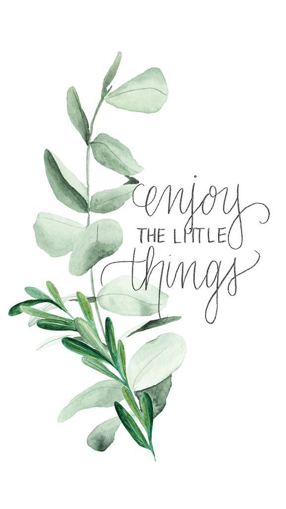 Enjoy The Little Things - HD Wallpaper 