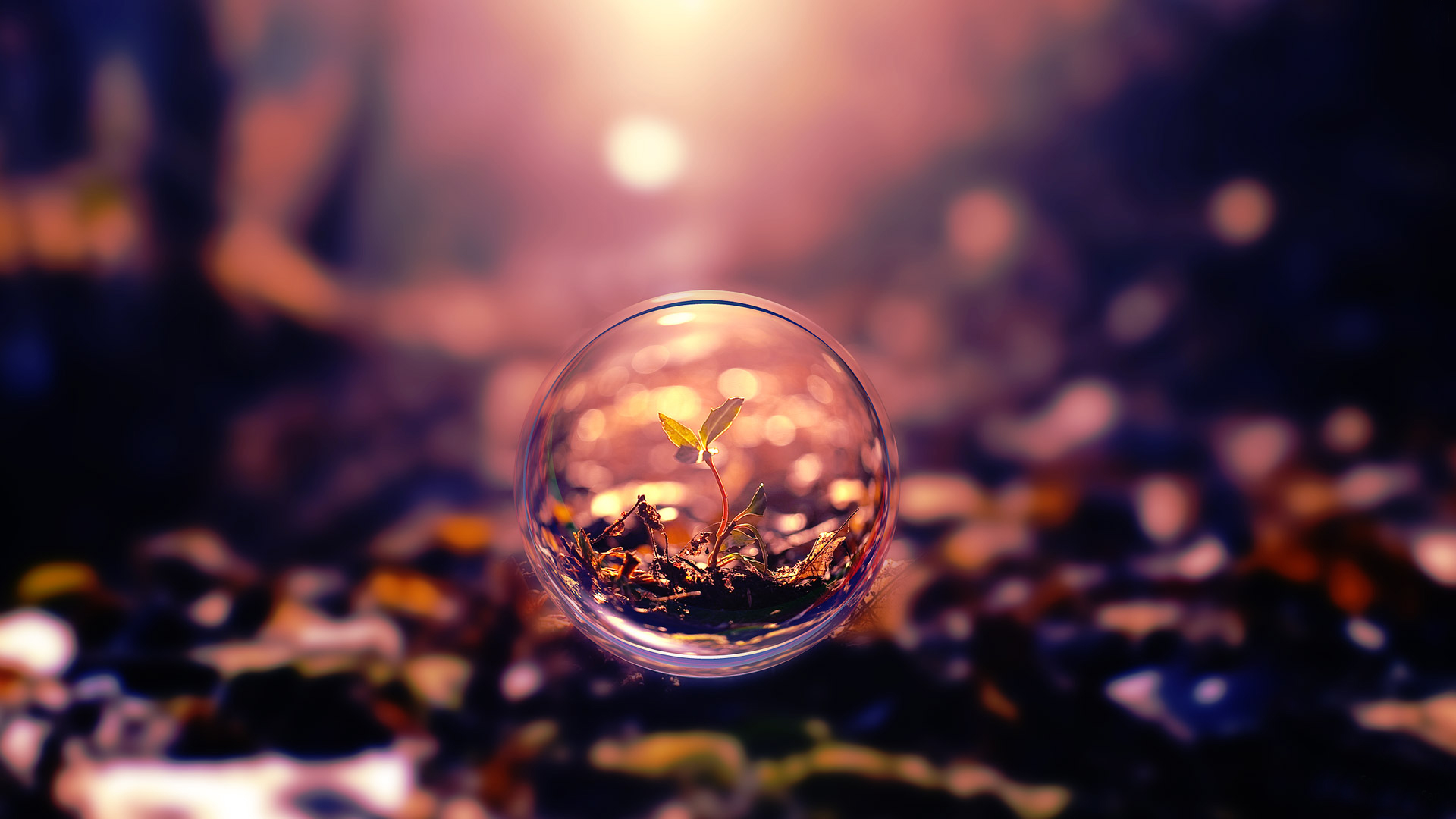 Highres Hd Photography Wallpapers 1080p With Hd Windows - Creative Photography Wallpaper Hd - HD Wallpaper 