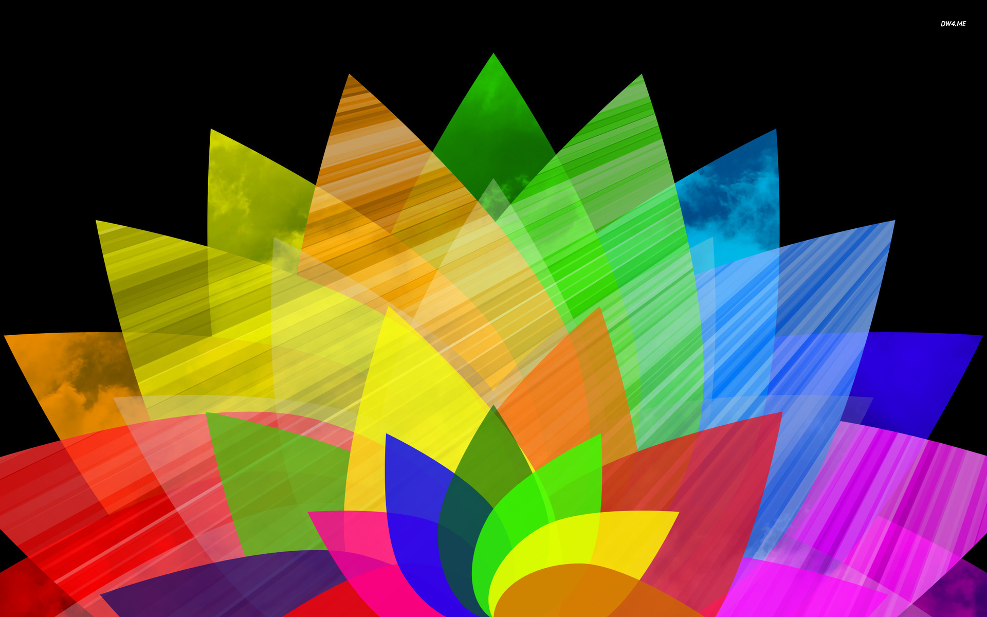 Flag Oromo - HD Wallpaper 