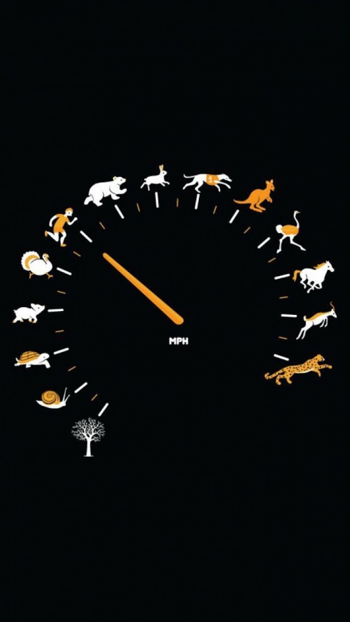 Funny Gauge Animals Speed Galaxy Note Hd Wallpaper - Animal Speed Comparison Chart - 720x1280 Wallpaper Funny Gauge Animals Speed Galaxy Note Hd Wallpaper - Animal Speed Comparison Chart - 720x1280 Wallpaper