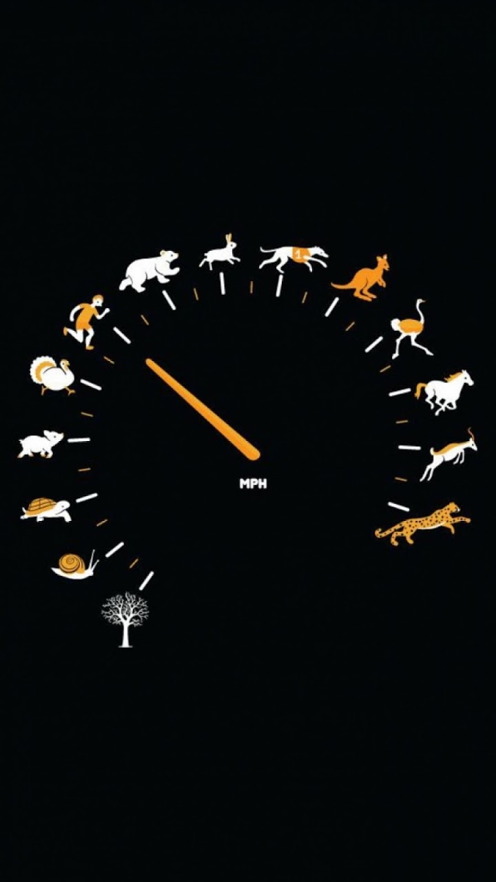 Funny Gauge Animals Speed Galaxy Note Hd Wallpaper - Animal Speed Comparison Chart - HD Wallpaper 