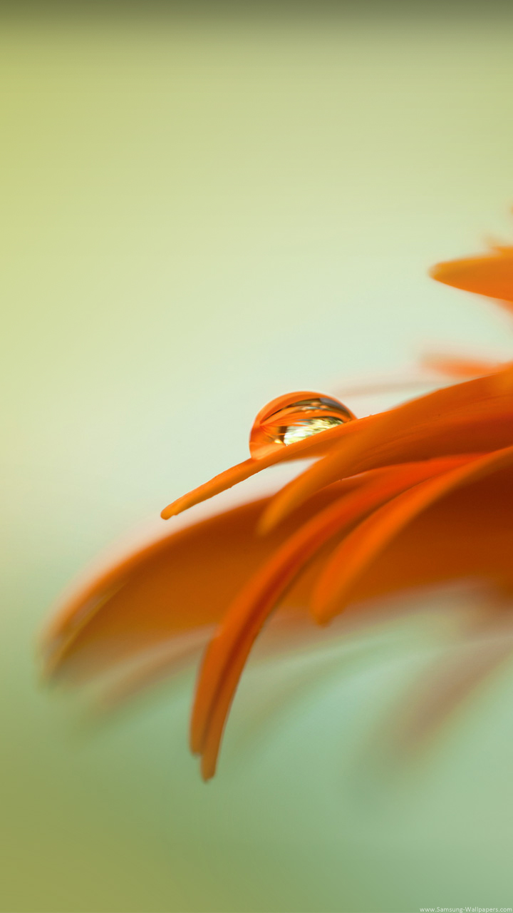 Samsung Galaxy - HD Wallpaper 
