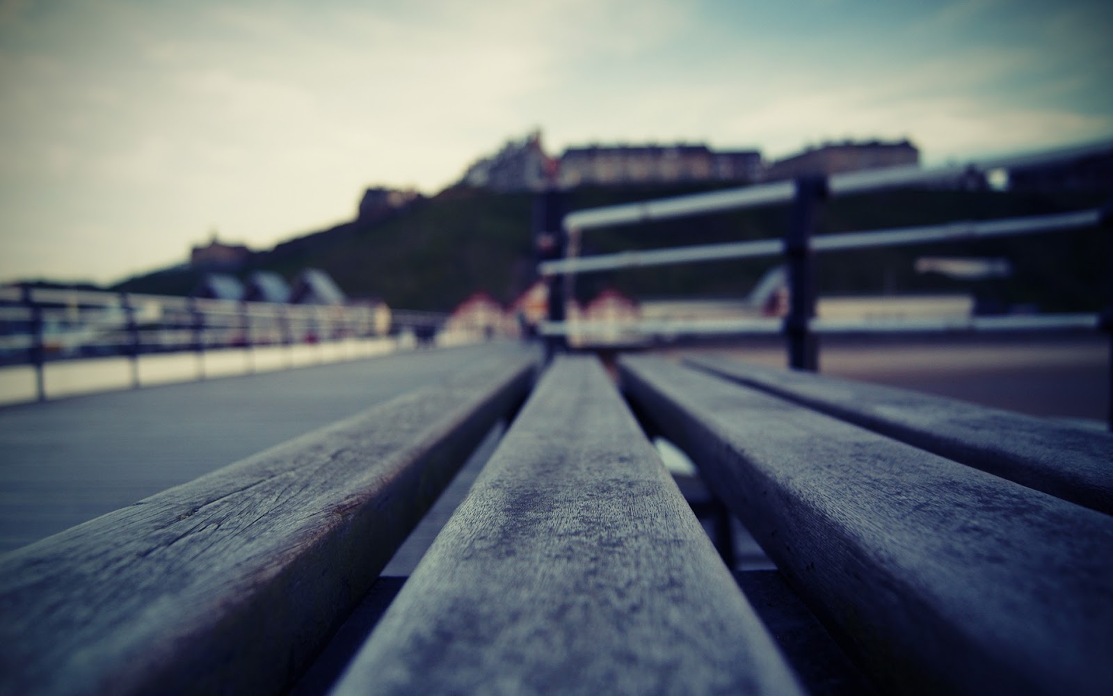 Background Depth Of Field - HD Wallpaper 