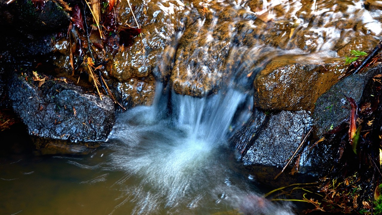 Nature - HD Wallpaper 
