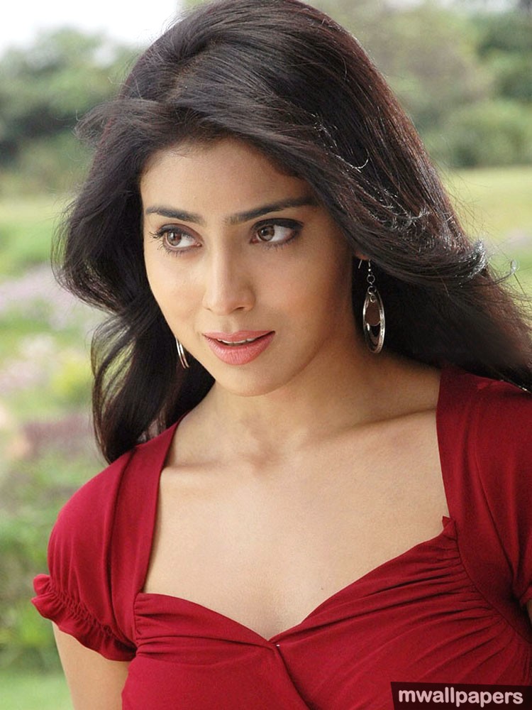 Shriya Saran Beautiful Hd Photos (10307) - Shriya Saran - HD Wallpaper 