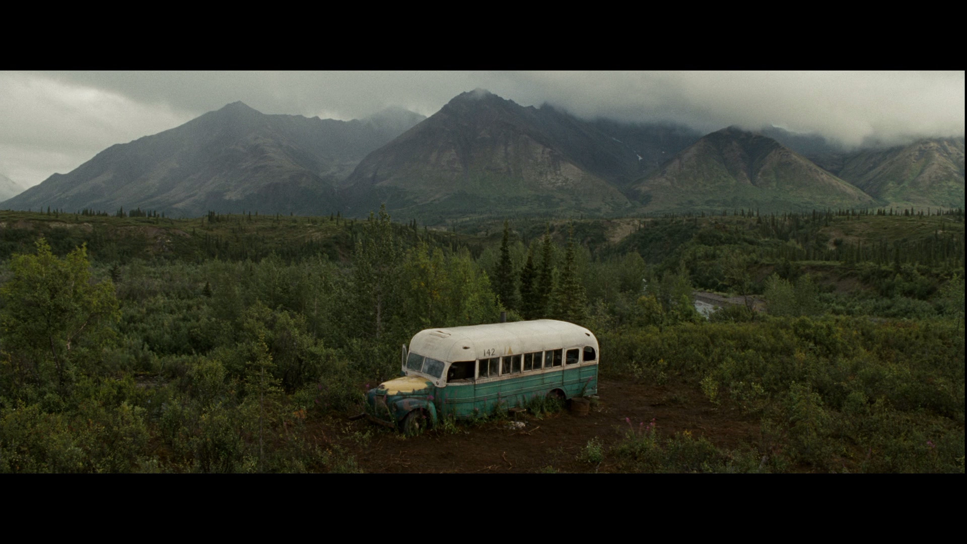 Background Wallpapers For Into The Wild - Into The Wild - HD Wallpaper 