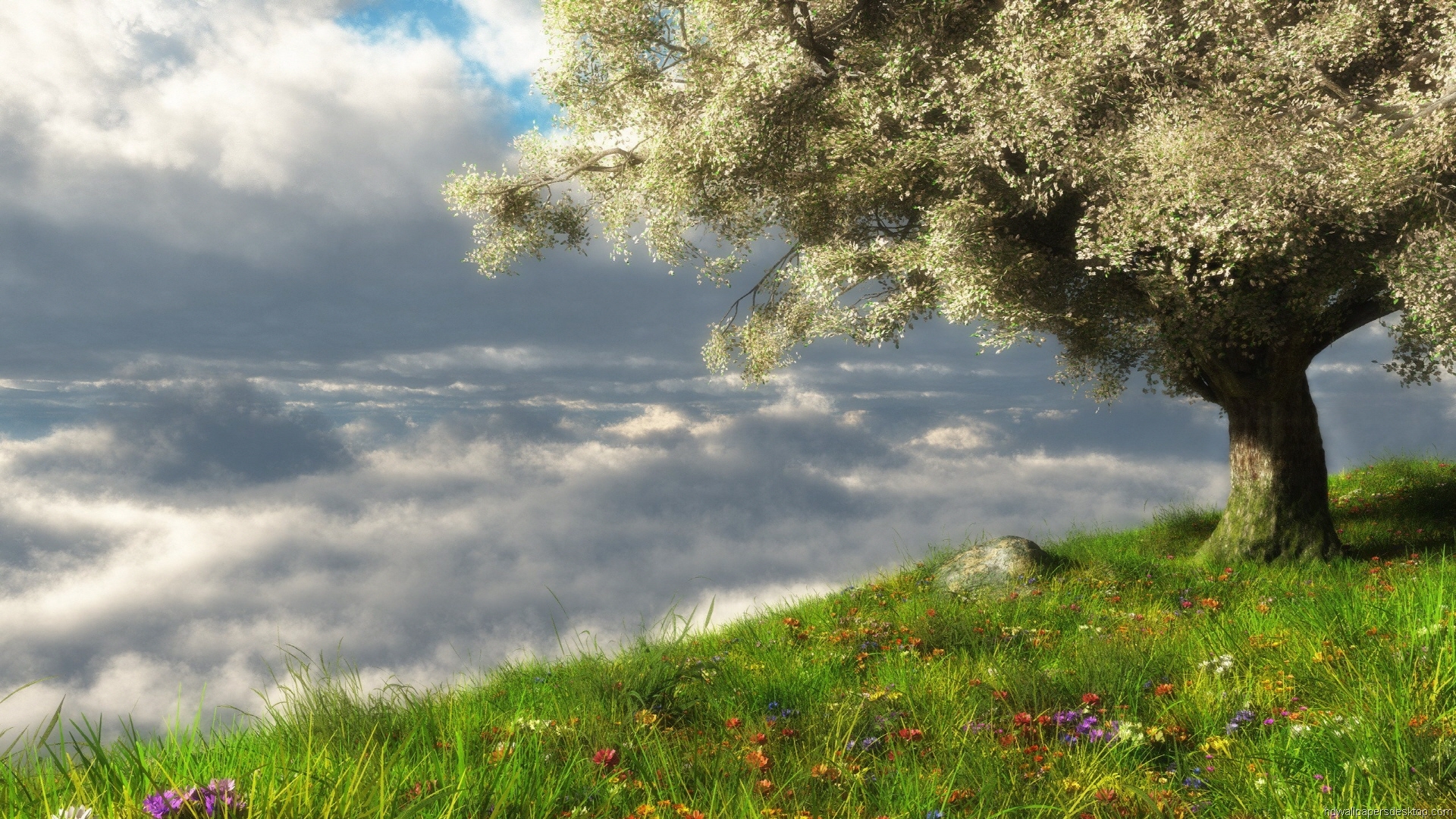 Nature Wallpapers, Hd, 1080p, Desktop Background, - Spring 3d - HD Wallpaper 