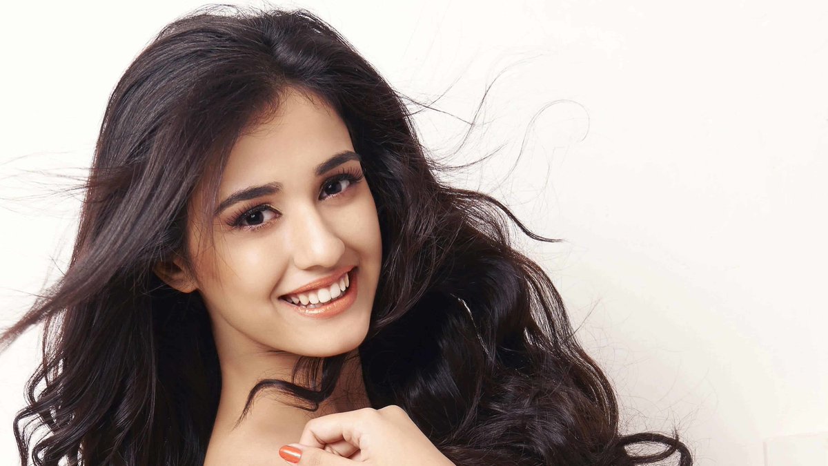 Disha Patani Hd - HD Wallpaper 