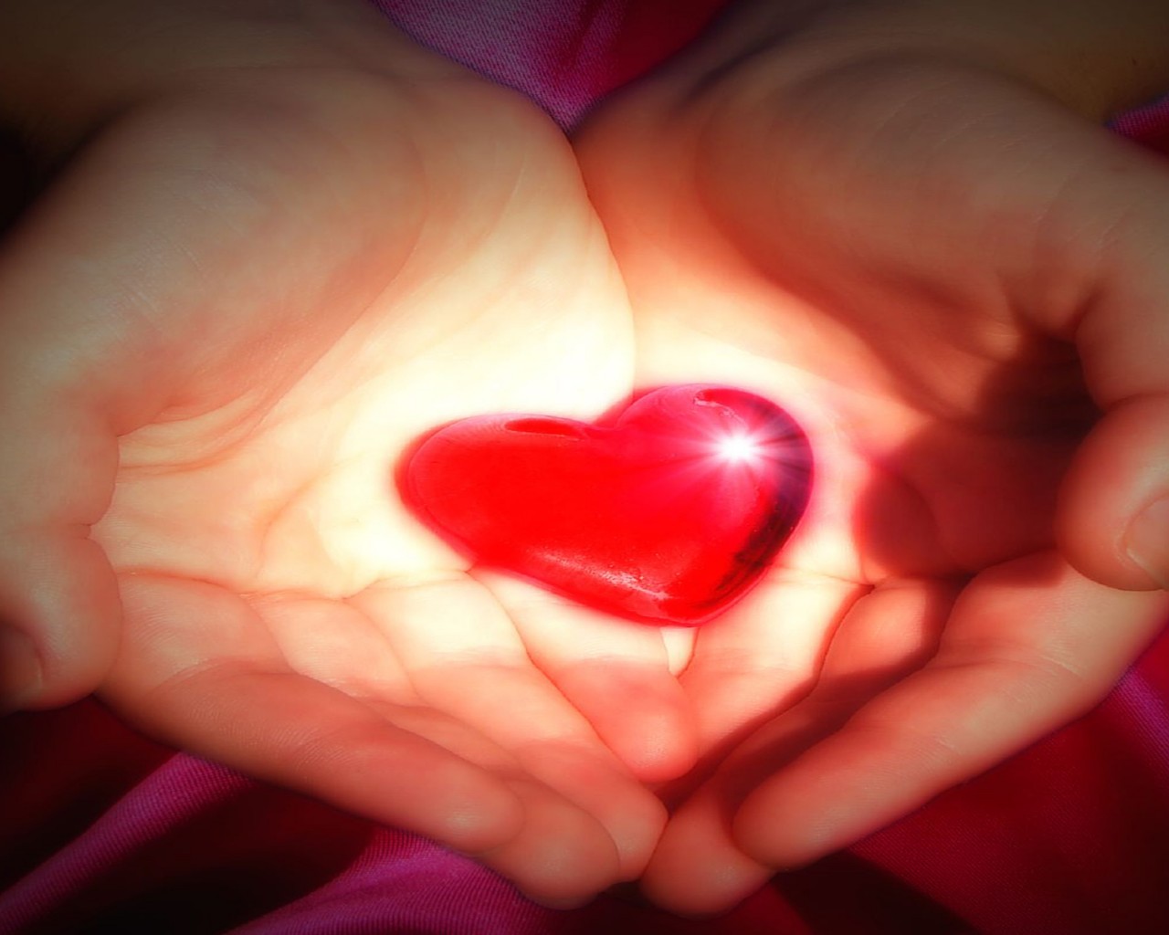 Three Kinds Of Jihad - HD Wallpaper 