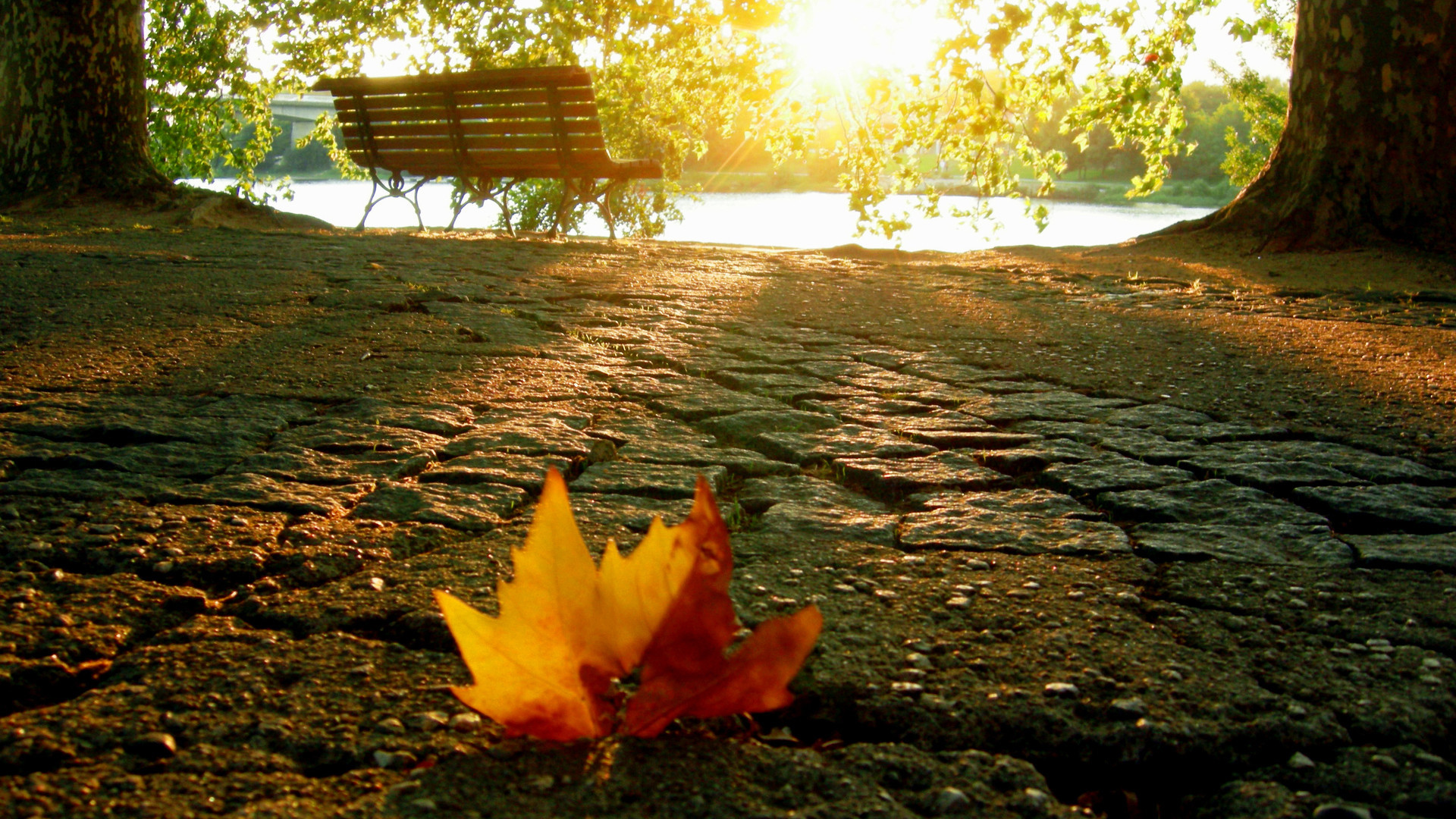 Data Src Beautiful Hd Wallpapers For Mac - Non É Forte Colui Che Non Cade Mai - HD Wallpaper 