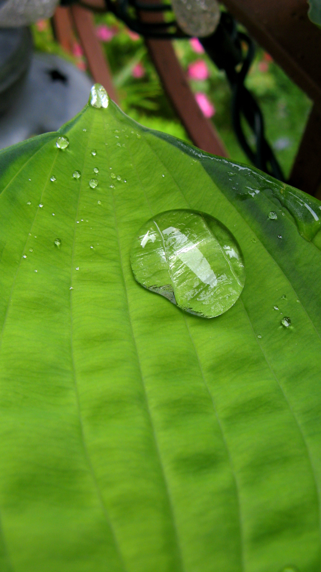 Hd Horizontal Wallpaper - HD Wallpaper 