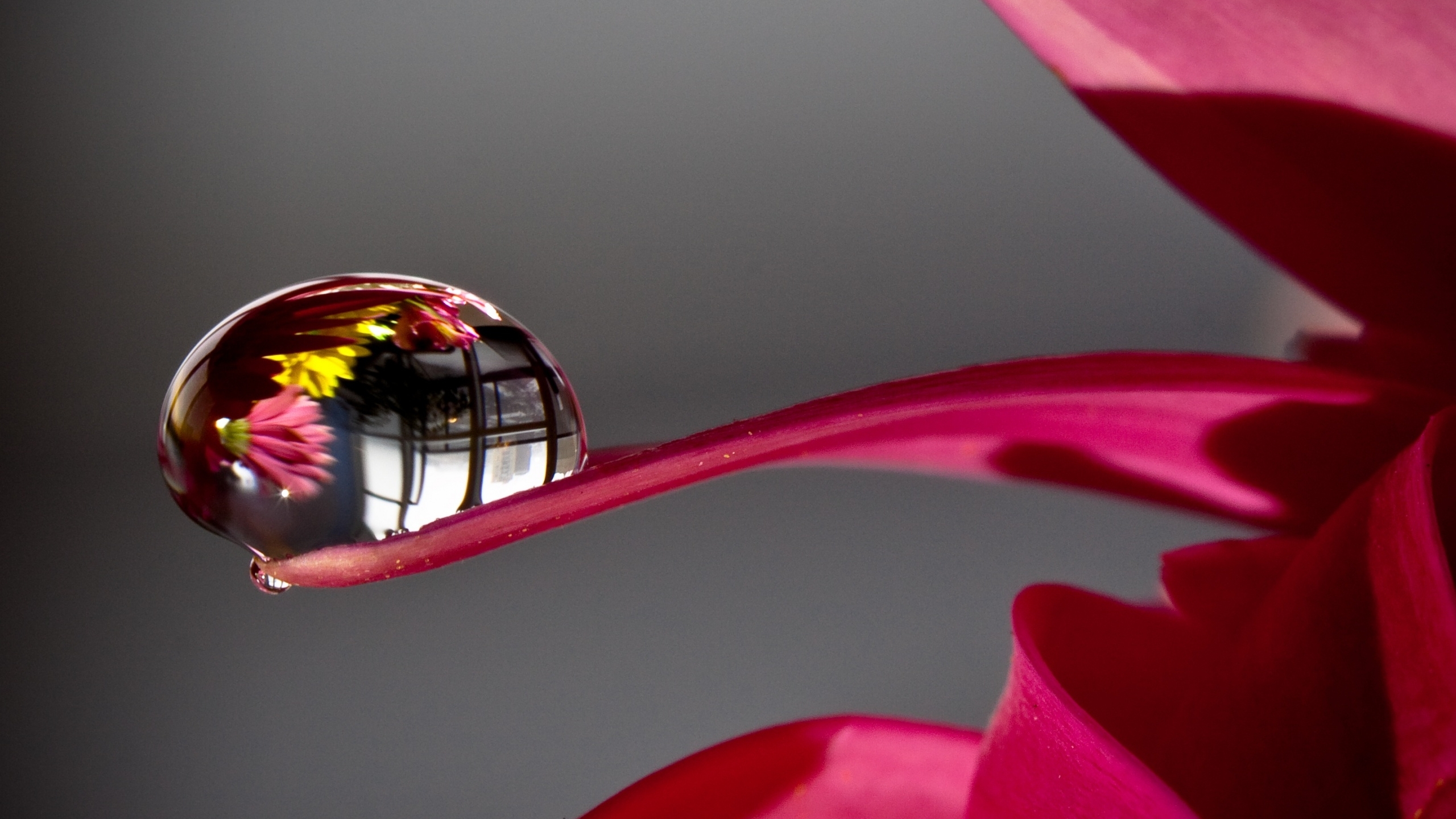 Water Droplets Reflection Photographs - HD Wallpaper 
