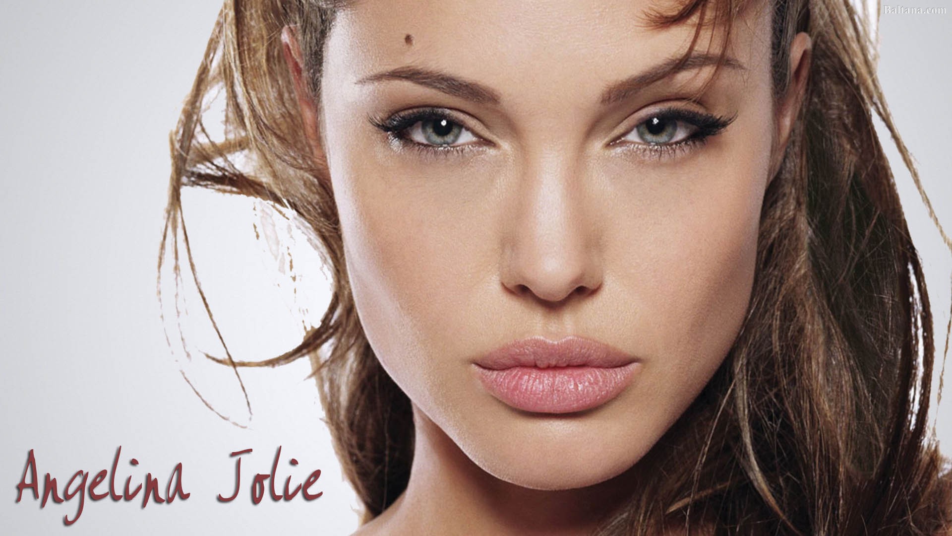 Angelina Jolie - HD Wallpaper 