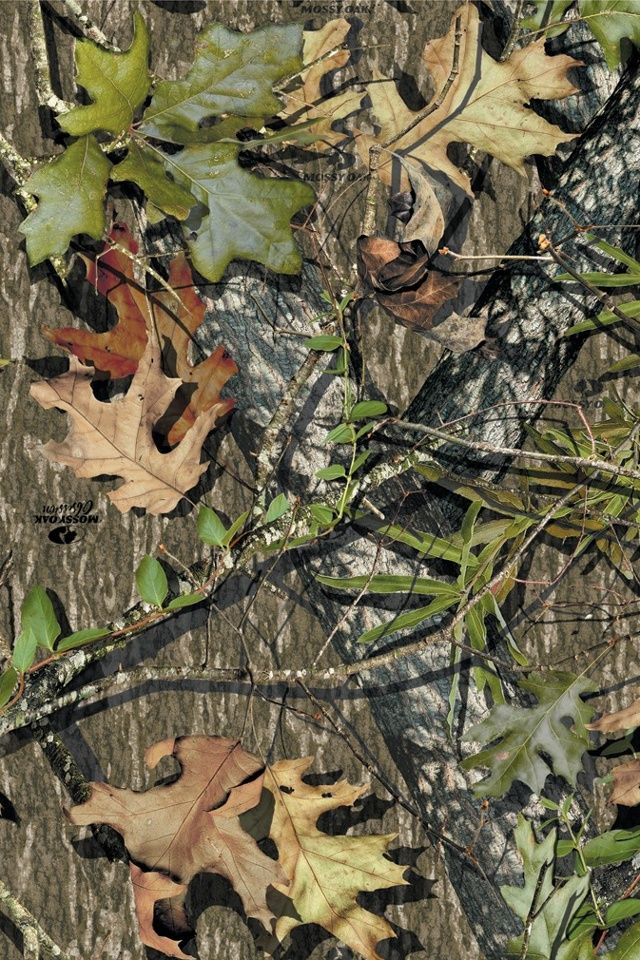 Camo Wallpaper Mossy Oak - HD Wallpaper 