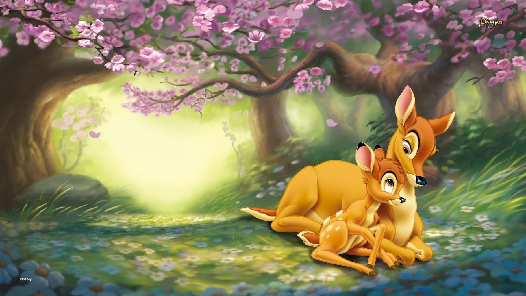 Bambi Background - HD Wallpaper 