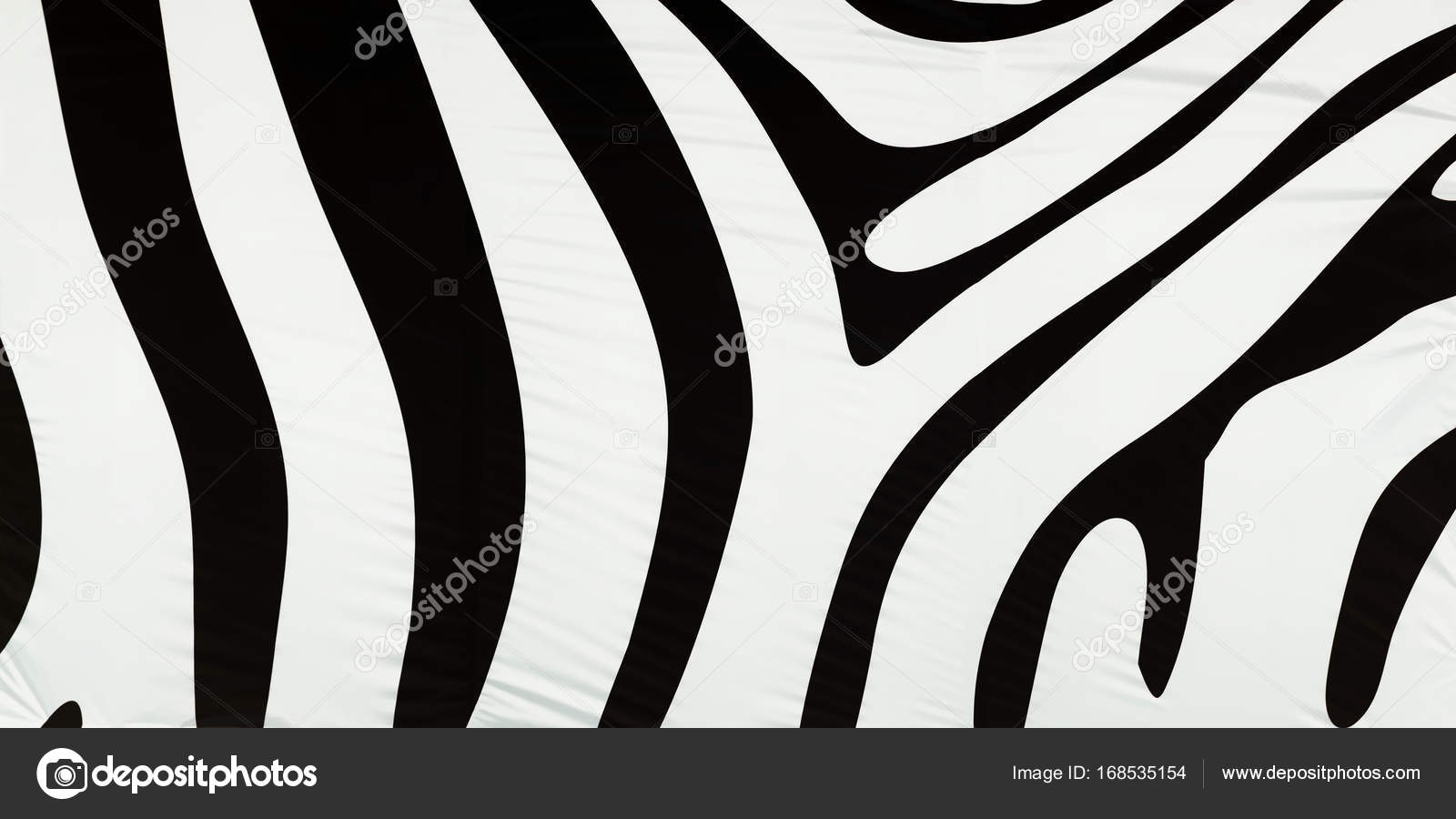 Fondo Cebra Negro Y Blanco - HD Wallpaper 