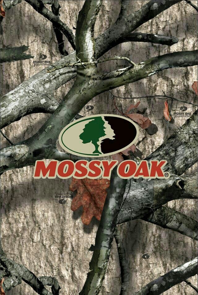 Mossy Oak Treestand - HD Wallpaper 