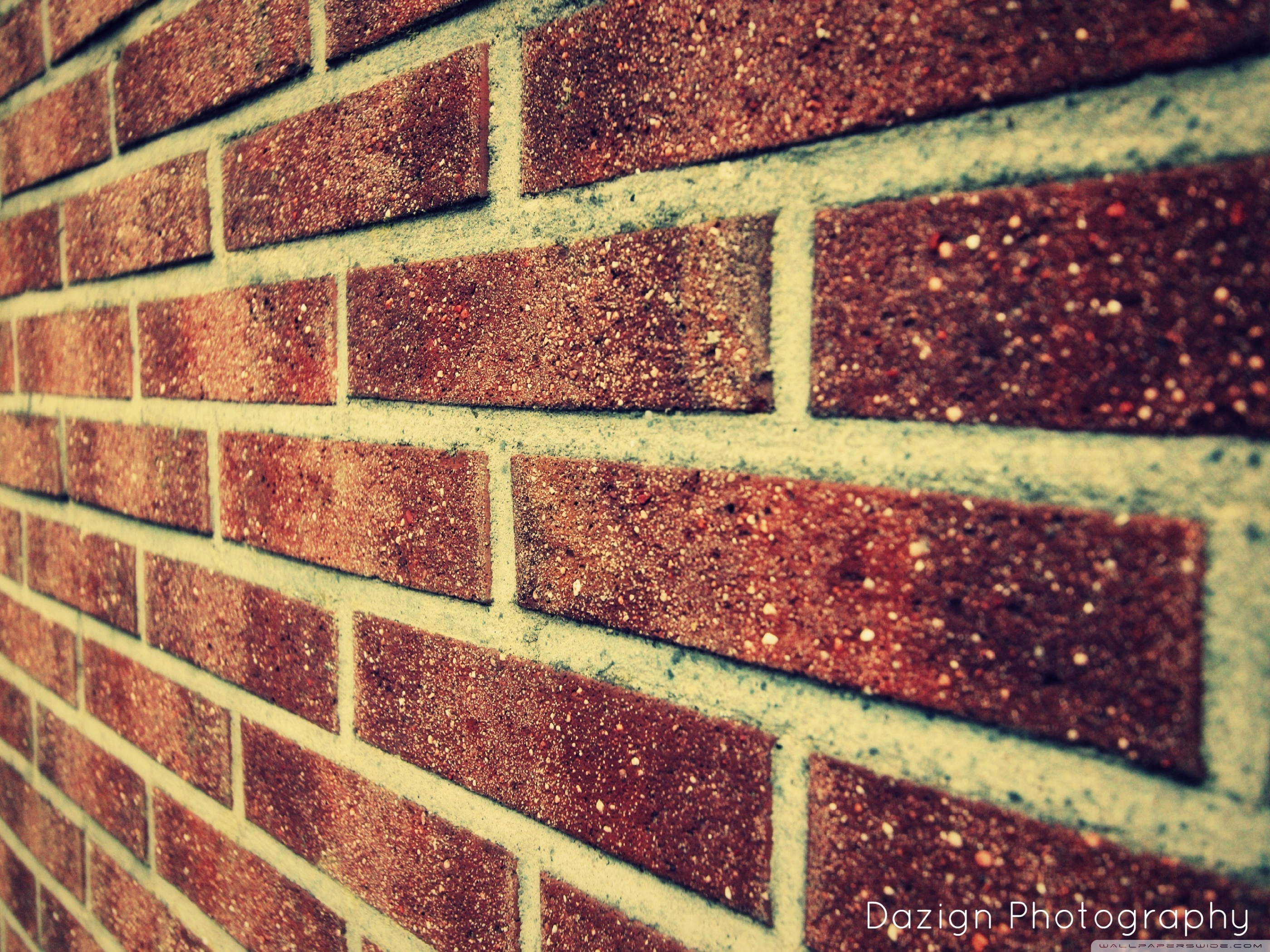 Free Desktop Wallpaper Taylor Swift - HD Wallpaper 