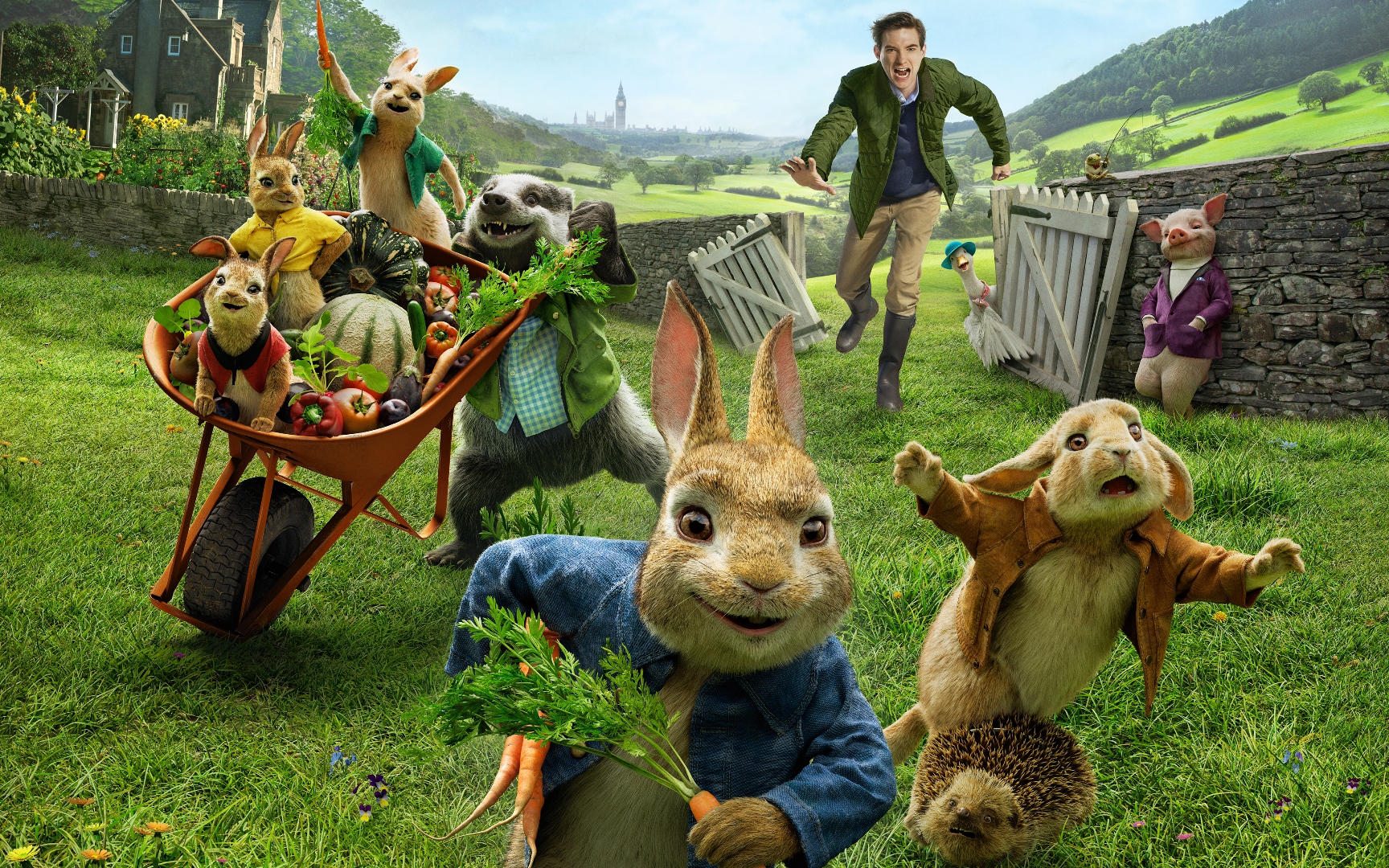 Peter Rabbit Movie Wallpaper - Peter Rabbit Wallpaper 2018 - HD Wallpaper 