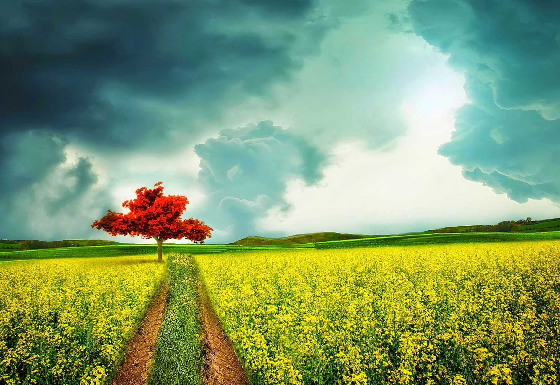 Nature Wallpapers, Hd Desktop Images, Sky, Landscape, - Field - HD Wallpaper 