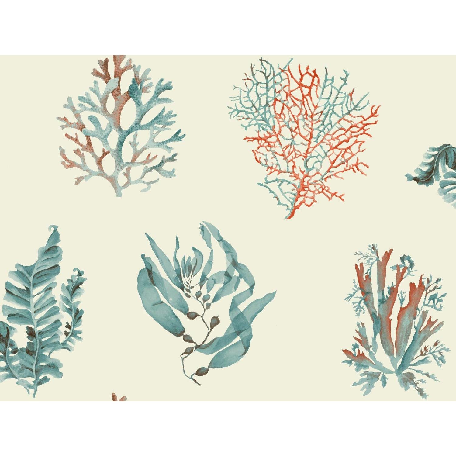 Seaweed Cm3357 - HD Wallpaper 