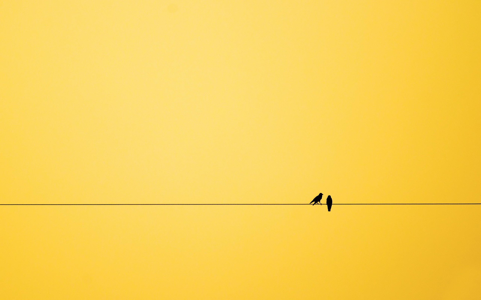 String Wallpapers-blwy8na - Twitter Yellow Header - HD Wallpaper 