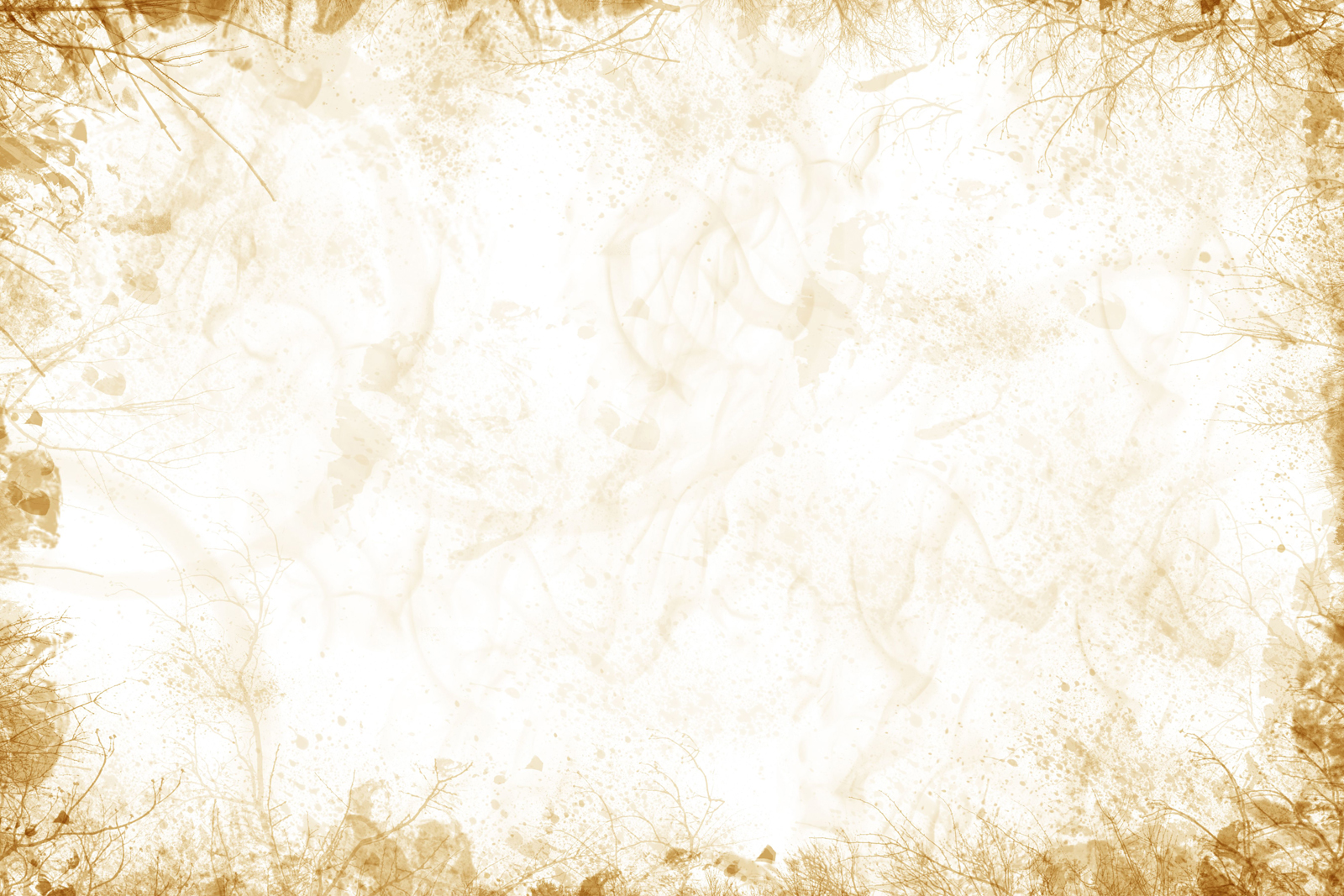 White Gold Wallpapers Full Hd - 1600x1067 Wallpaper 