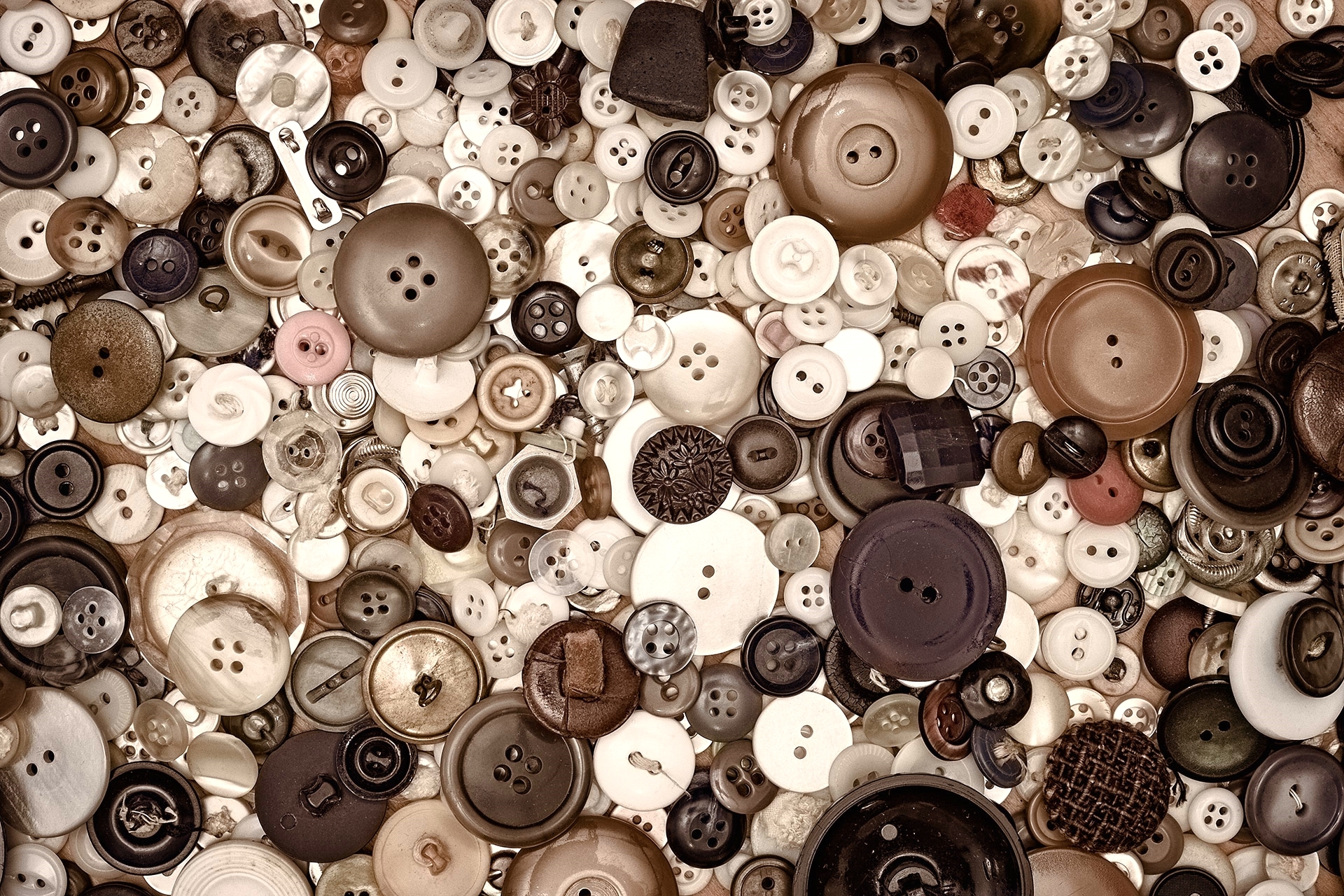 Clothes Button - HD Wallpaper 