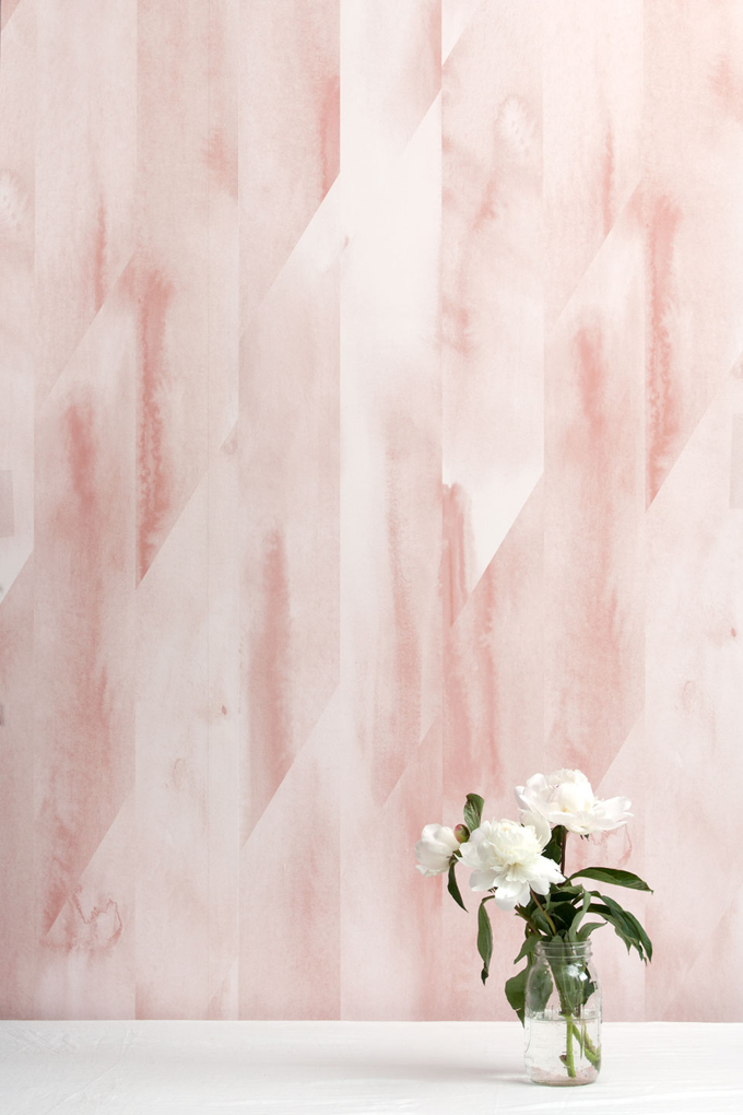 Shell Wallpaper - HD Wallpaper 