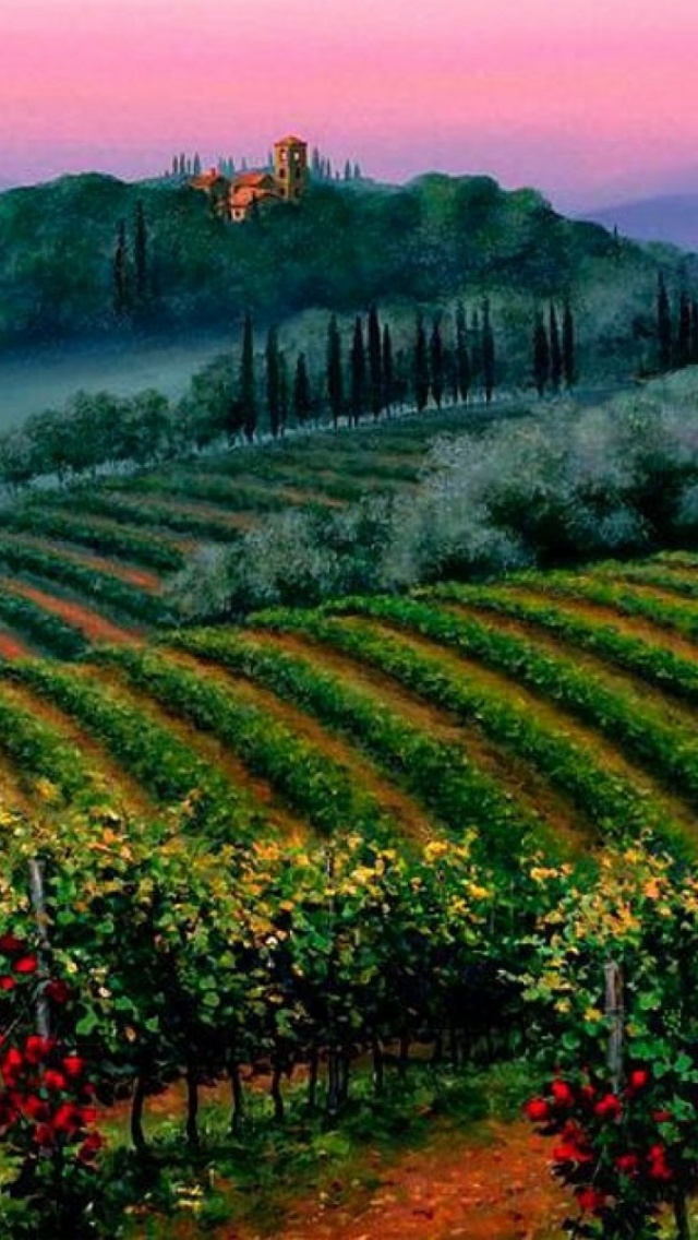 Field - HD Wallpaper 