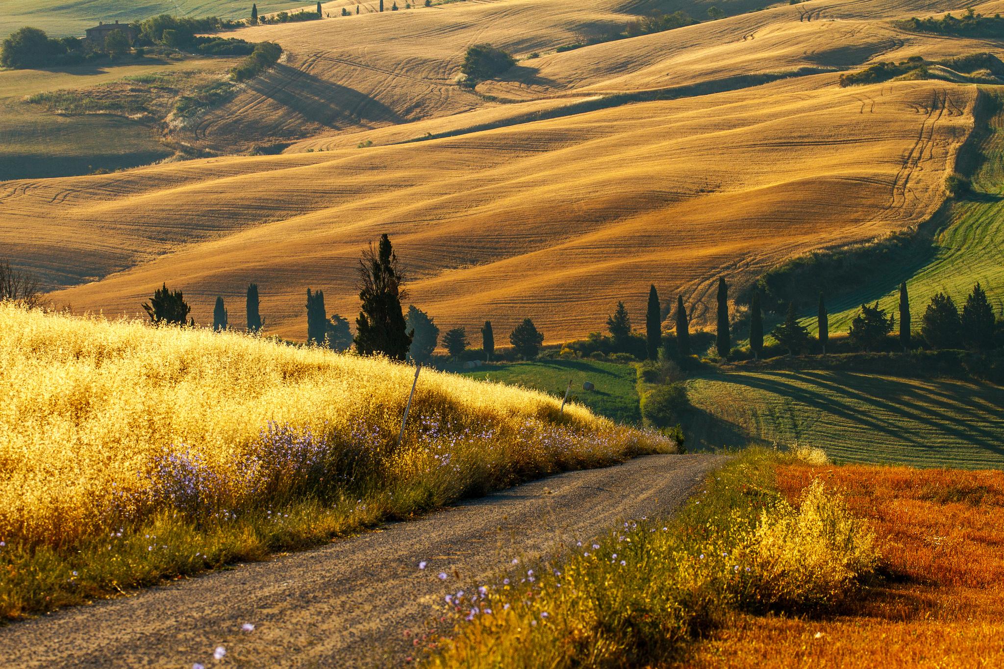 Tuscany Wallpaper - HD Wallpaper 