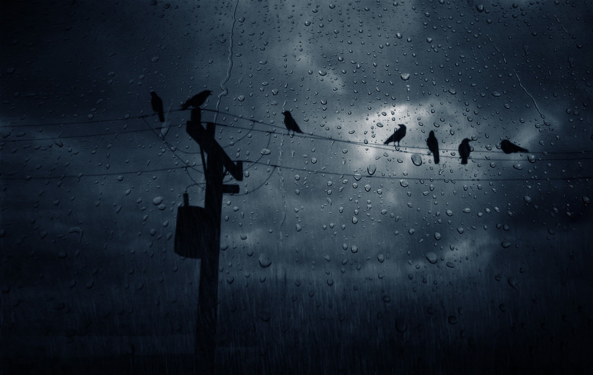 Rain Weather - HD Wallpaper 