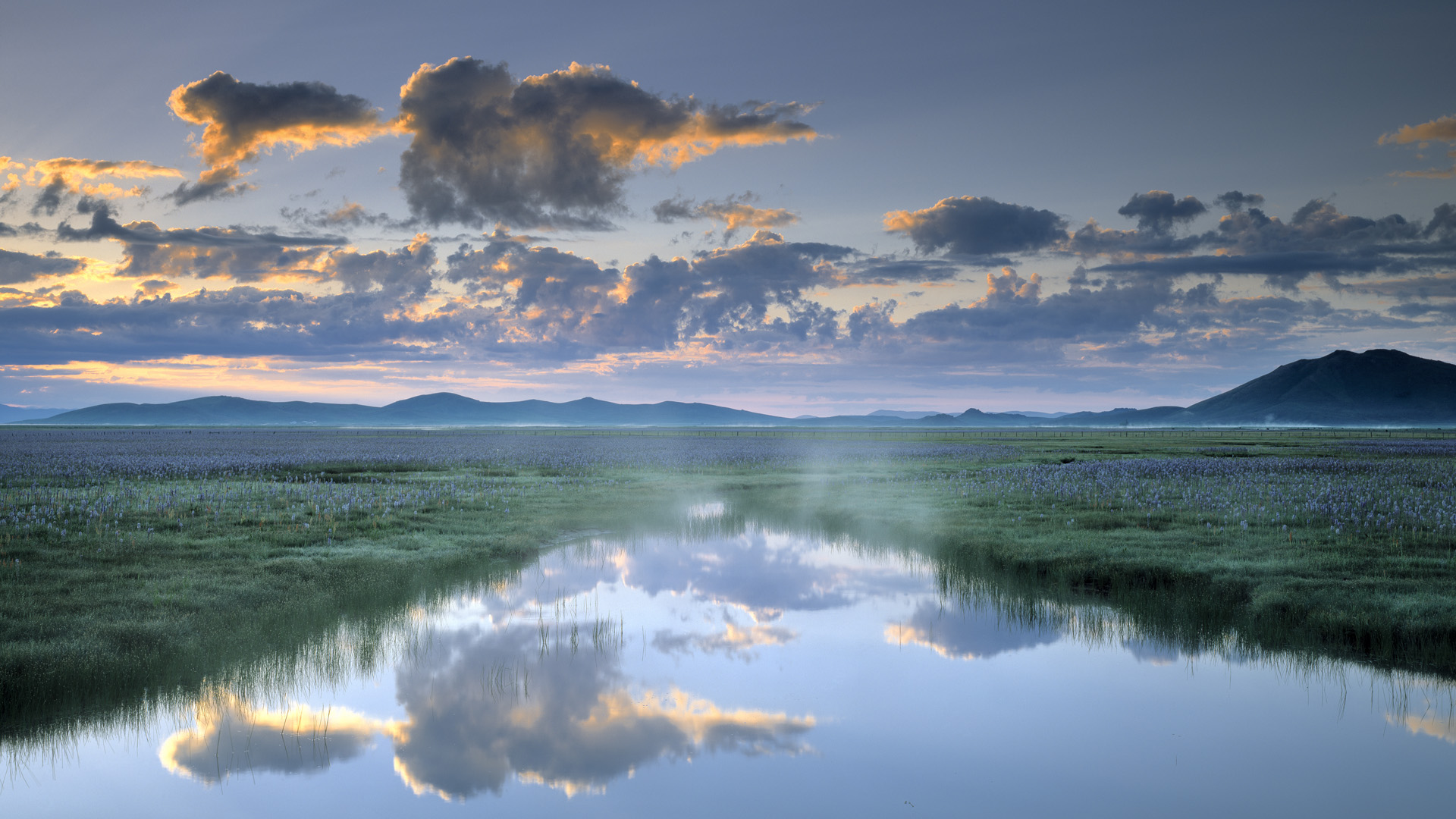 Hd Wallpapers Nature Widescreen Wallpaper - Beautiful Wild Natural - 1920x1080 Wallpaper Hd Wallpapers Nature Widescreen Wallpaper - Beautiful Wild Natural - 1920x1080 Wallpaper
