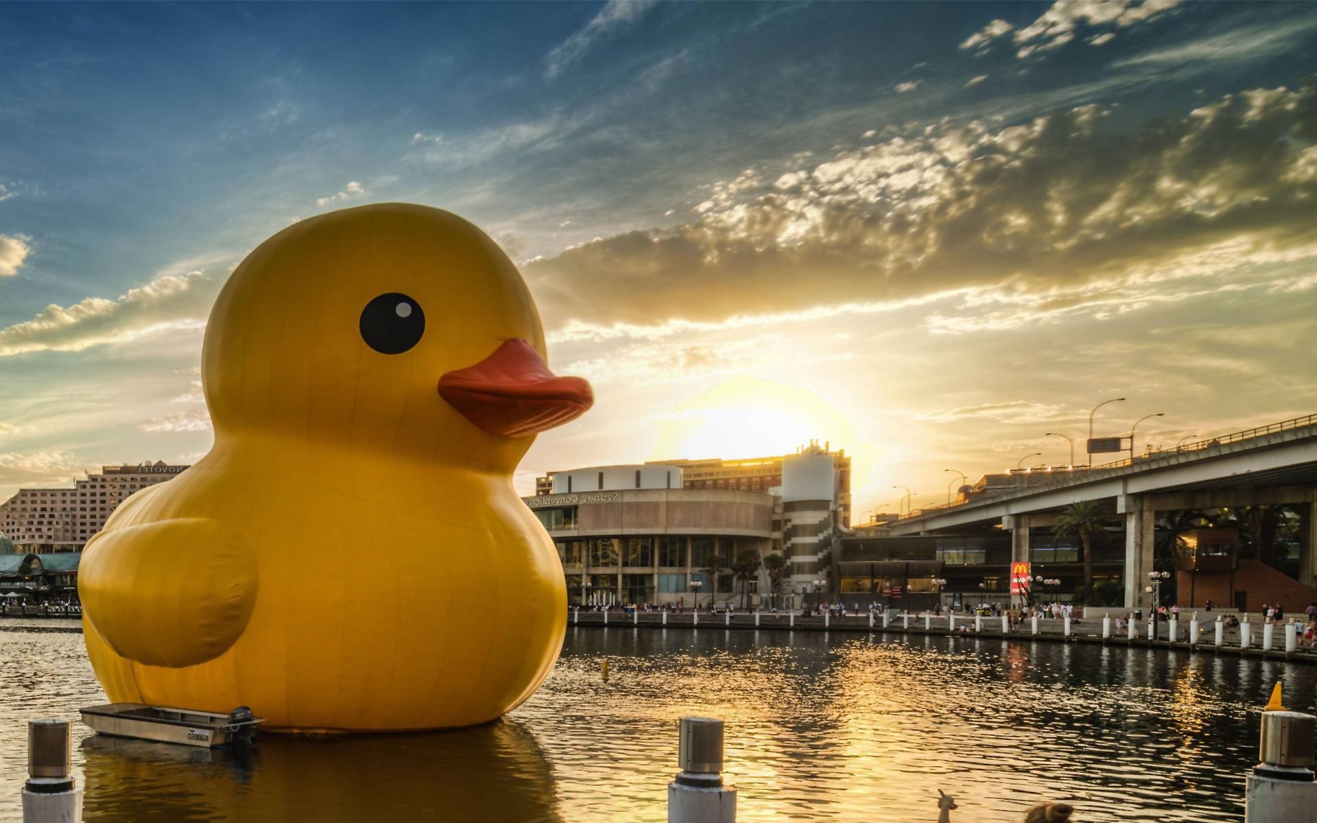 Rubber Ducks, Landscape, Cityscape, Water Wallpapers - Rubber Duck Wallpaper Hd - HD Wallpaper 