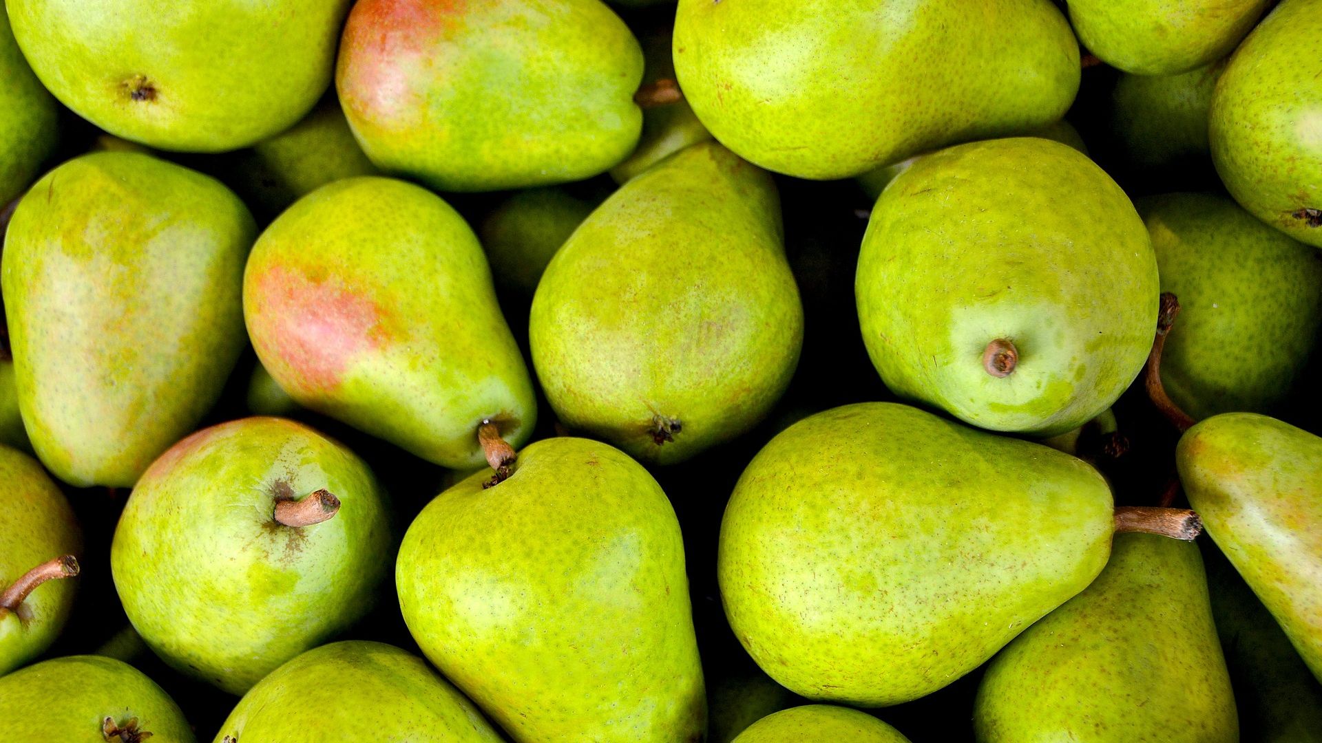 Pear Fruits Image Wallpaper - Pear Fruit - HD Wallpaper 