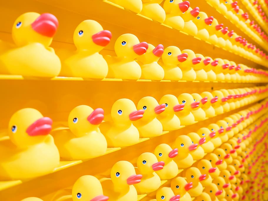Yellow Rubber Ducks, Yellow And Red Rubber Duck Lot, - Instagram Worthy Bathroom - HD Wallpaper 