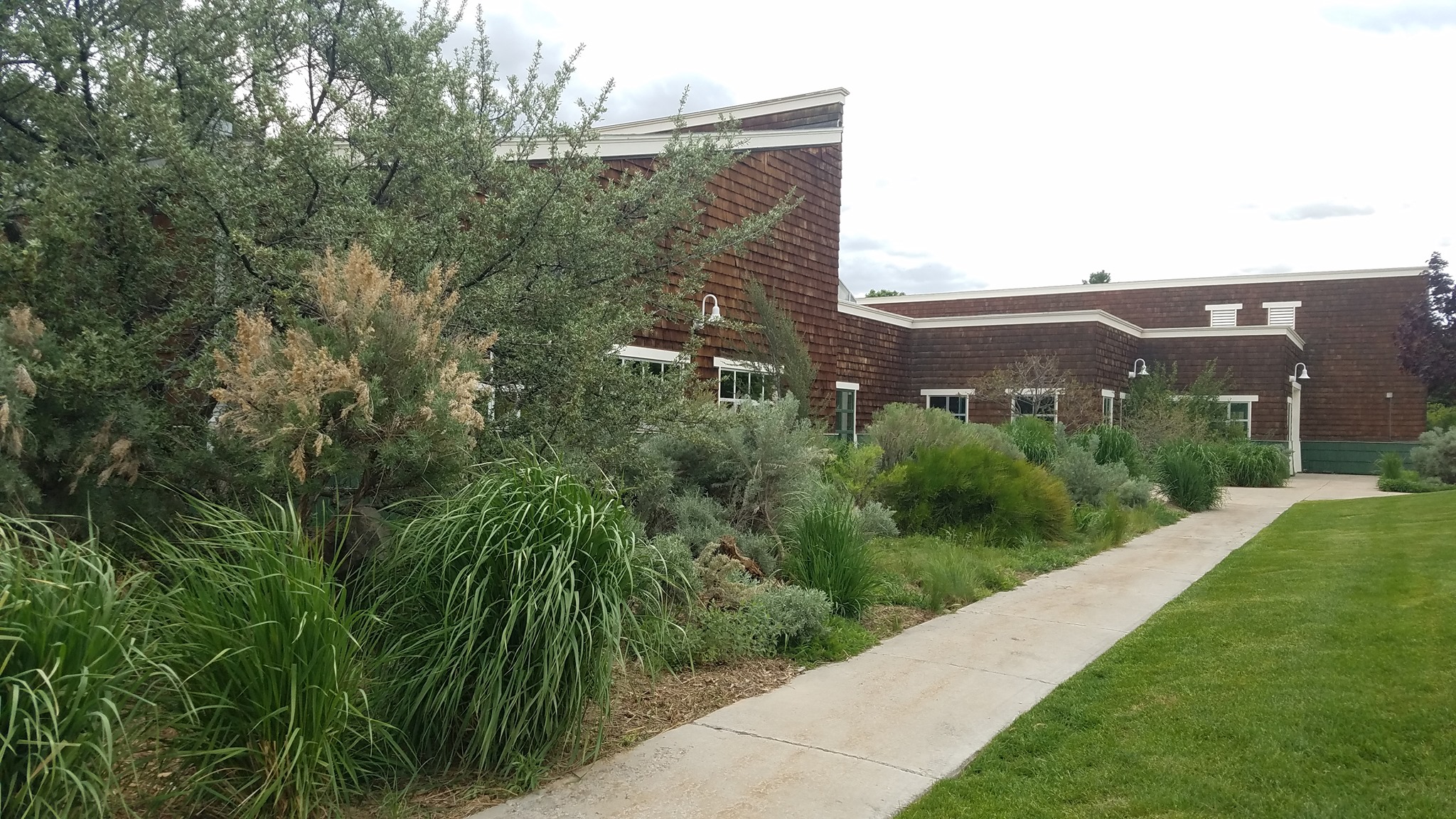 Grass - HD Wallpaper 