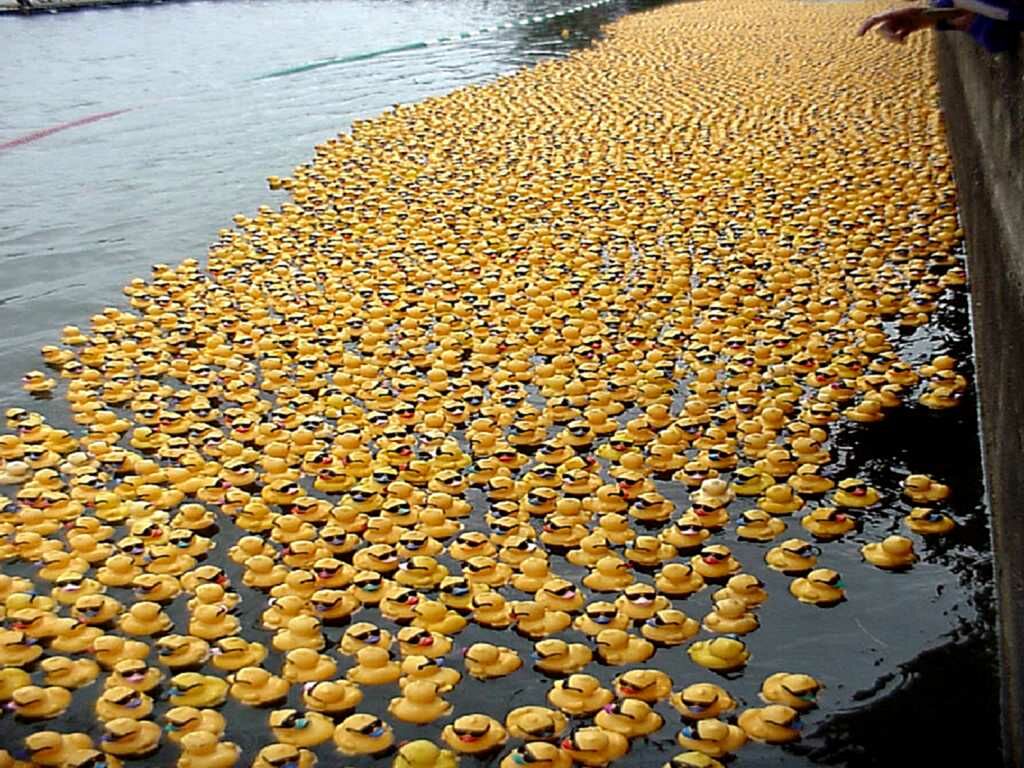 Thousands Of Rubber Duckies - Thousands Of Rubber Ducks - HD Wallpaper 