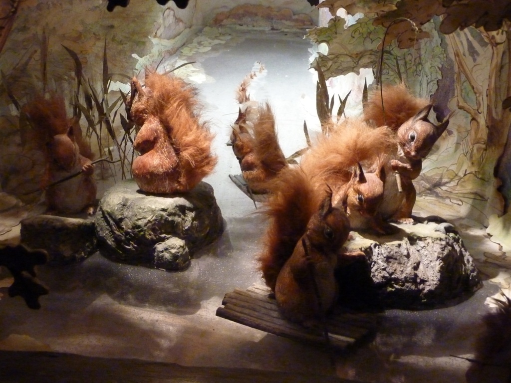 World Of Beatrix Potter - HD Wallpaper 