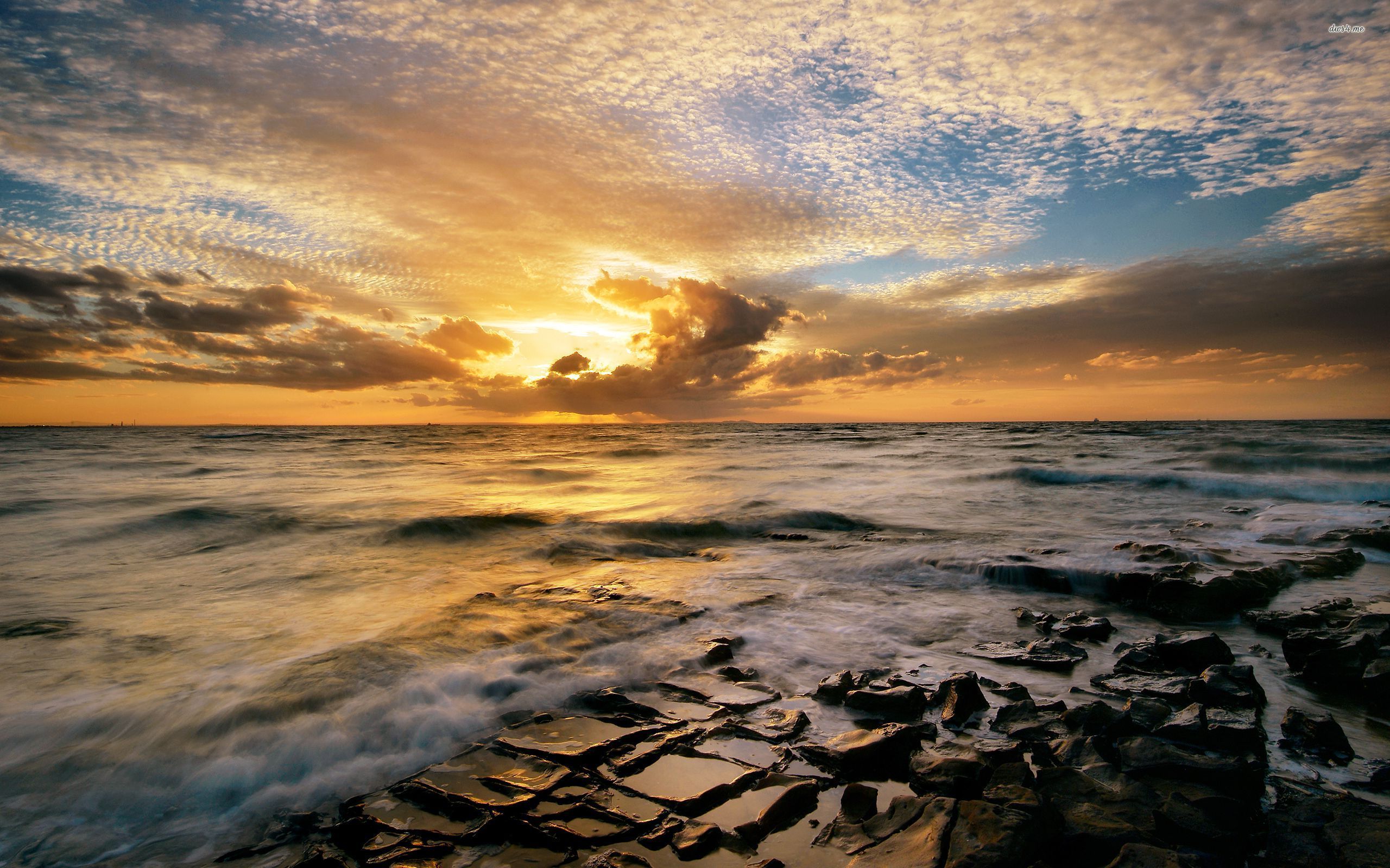 Wallpaper - HD Wallpaper 