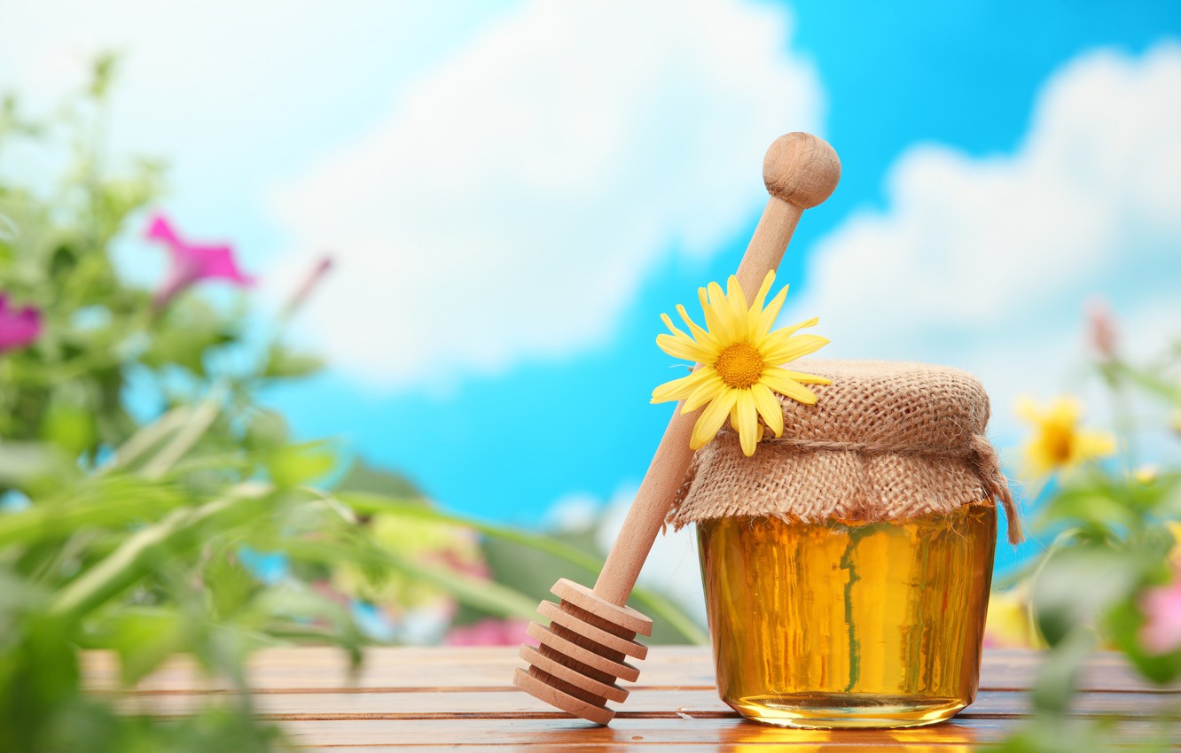 Photo Wallpaper Flower, Flowers, Honey, Banks, Beekeeping - Bible Proverbs In Malayalam - HD Wallpaper 