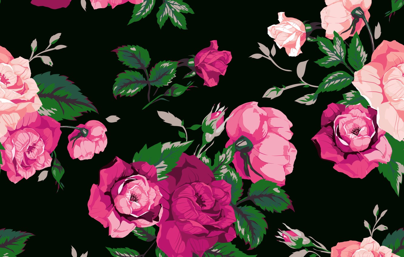 Photo Wallpaper Flowers, Background, Roses, Texture, - Pink And Red Flowers On Black Background - HD Wallpaper 