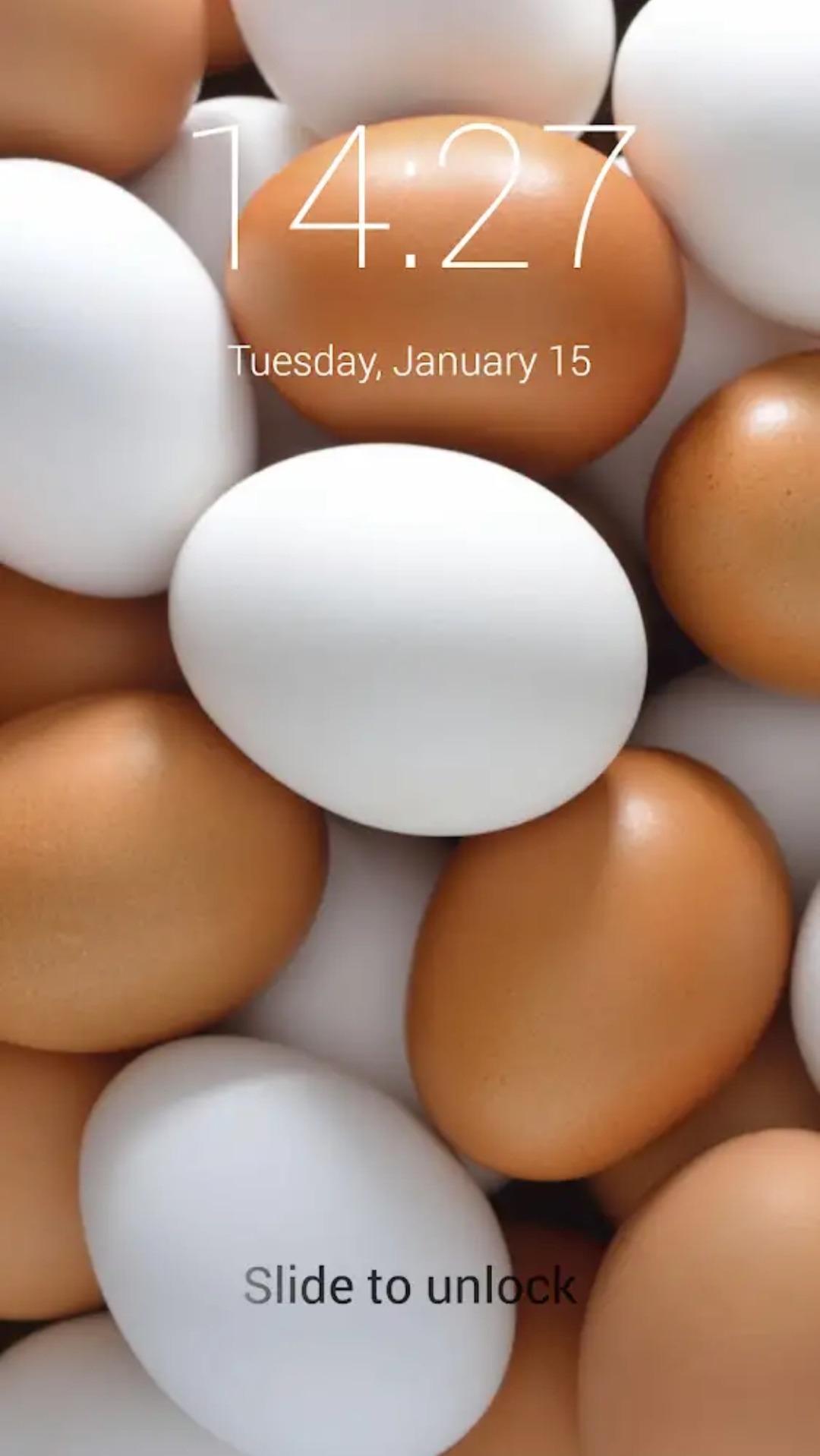Image - Egg - HD Wallpaper 