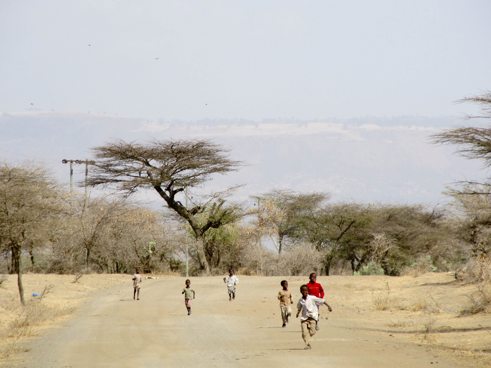 Ethiopia Road And Kids - Tree - HD Wallpaper 