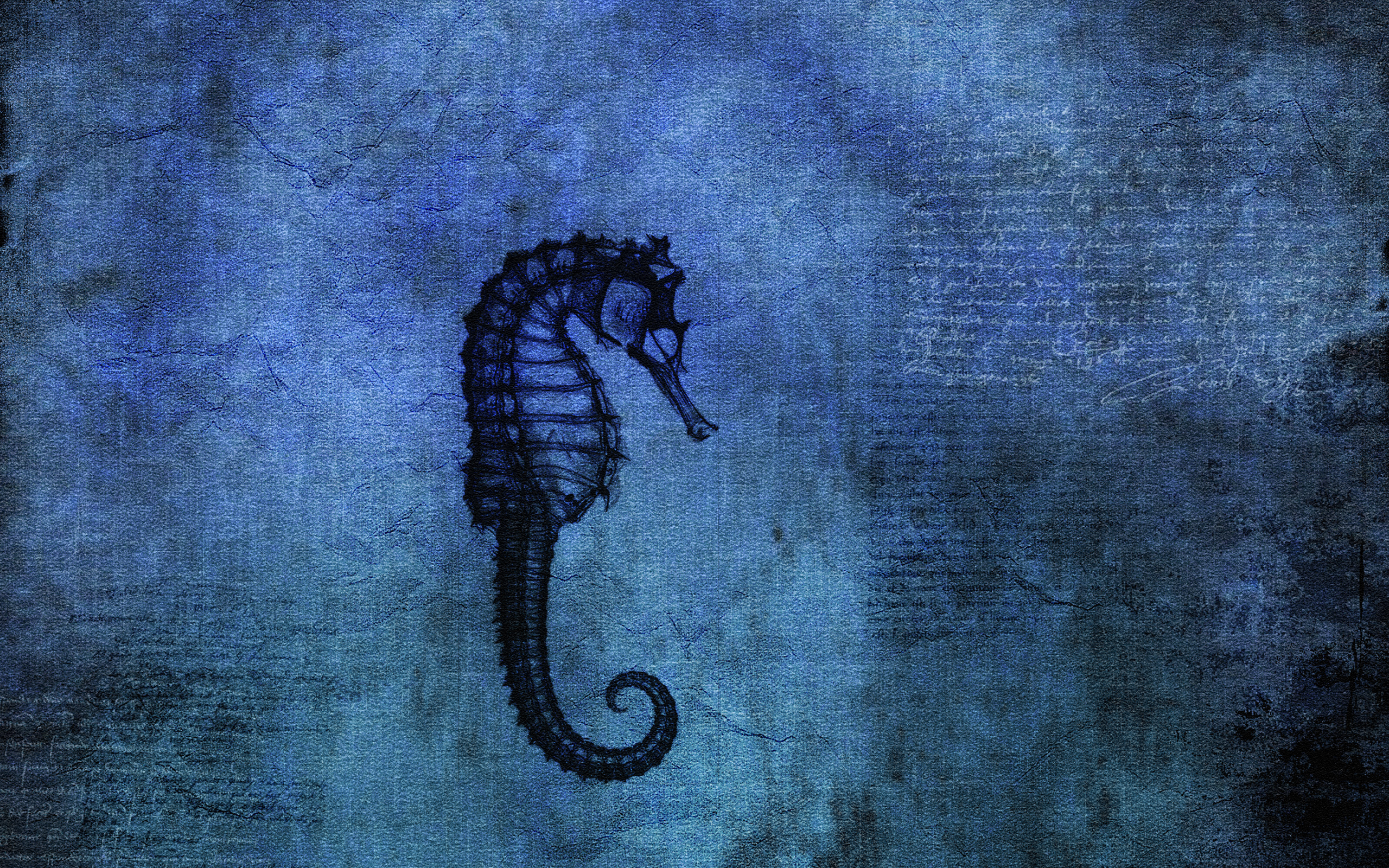 Desktop Wallpaper Seahorse - HD Wallpaper 