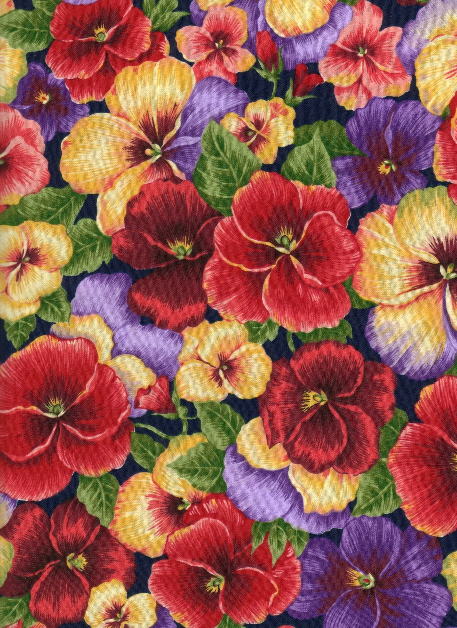 Pansies Stand For Good Thoughts - Red And Pink Pansy - HD Wallpaper 