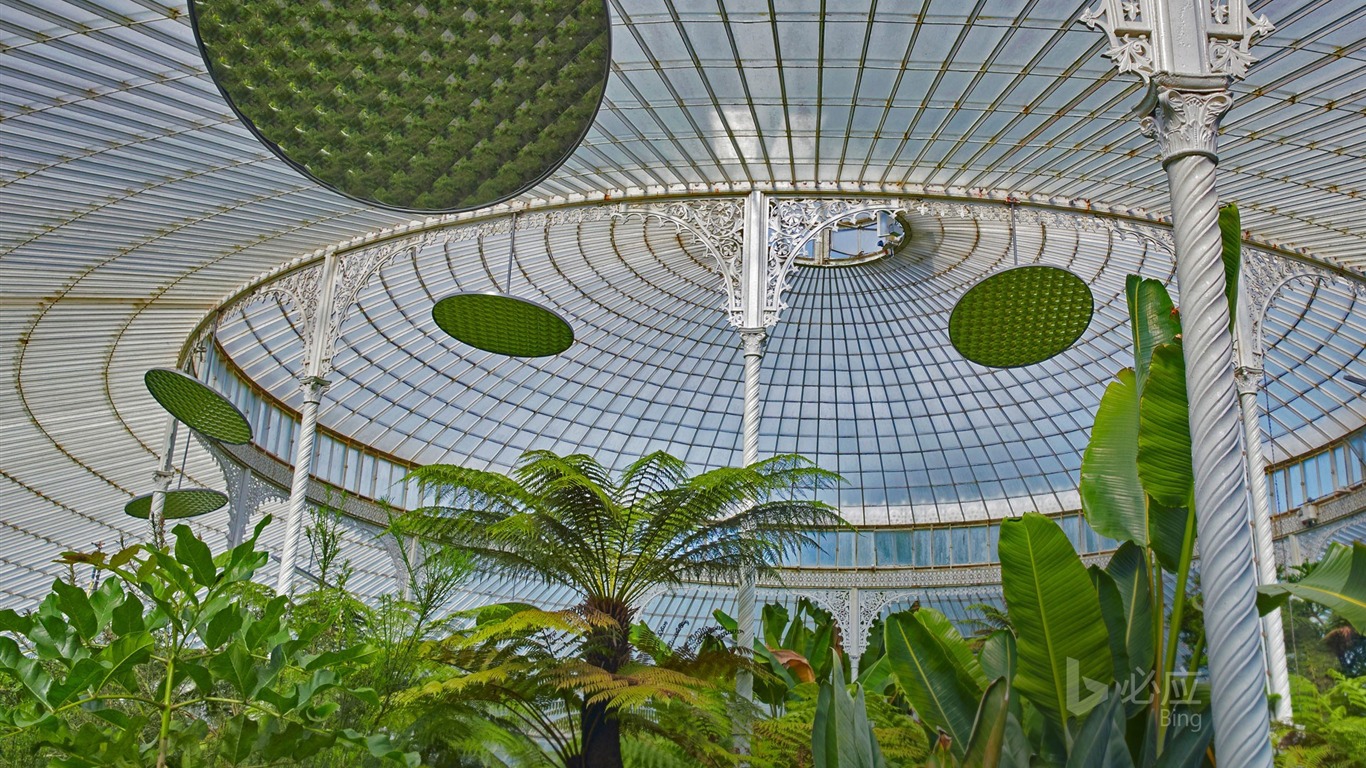 British Glasgow Queens Park Glass Greenhouse-2017 Bing - Kibble Palace - HD Wallpaper 